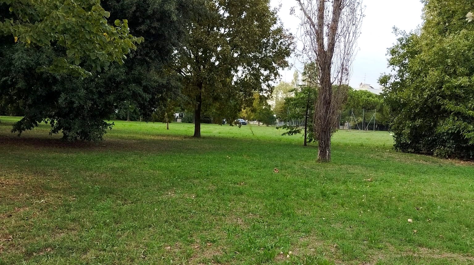 Gli alberi del Parco Cesarea dietro la casa